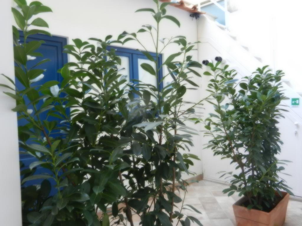 My Suite Sorrento Phòng bức ảnh